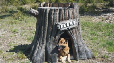 Tree stump - Custom doghouse